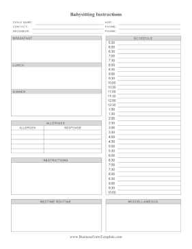 Babysitting Instructions Business Form Template